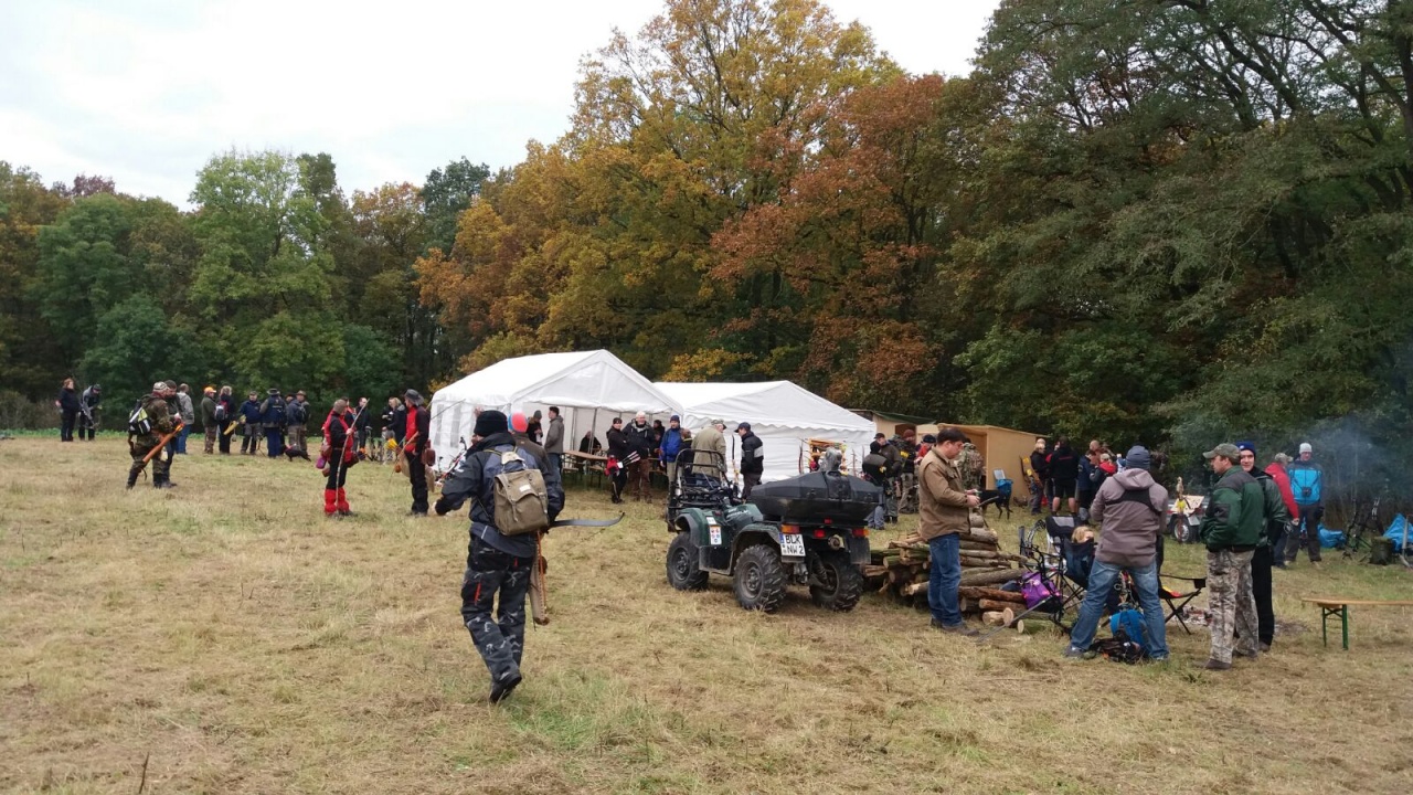 IMG-20161109-WA0004