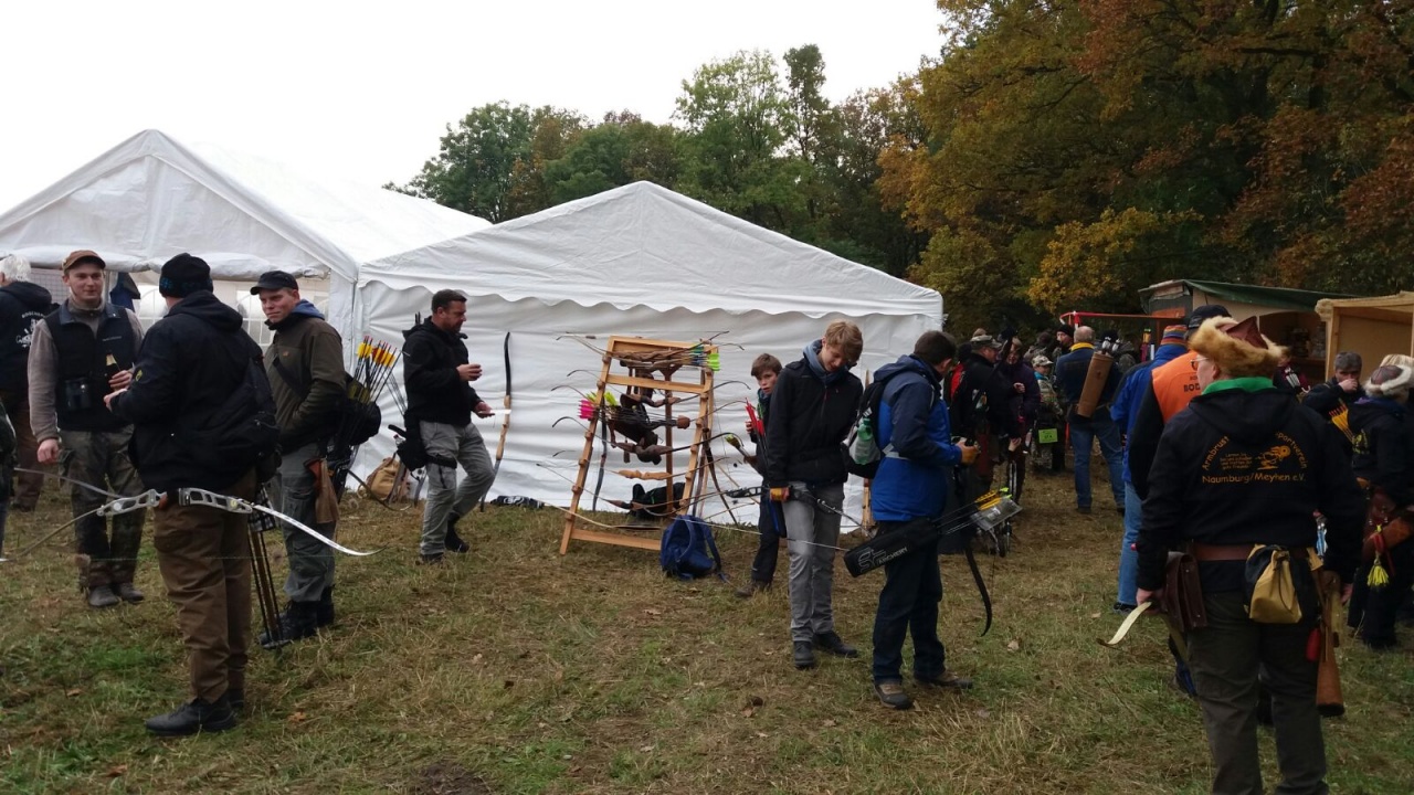 IMG-20161109-WA0008