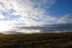 DSC01498