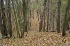 DSC01535