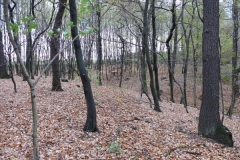P1140051